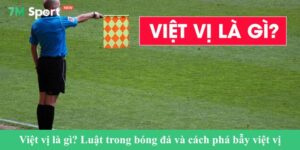 Việt vị là gì